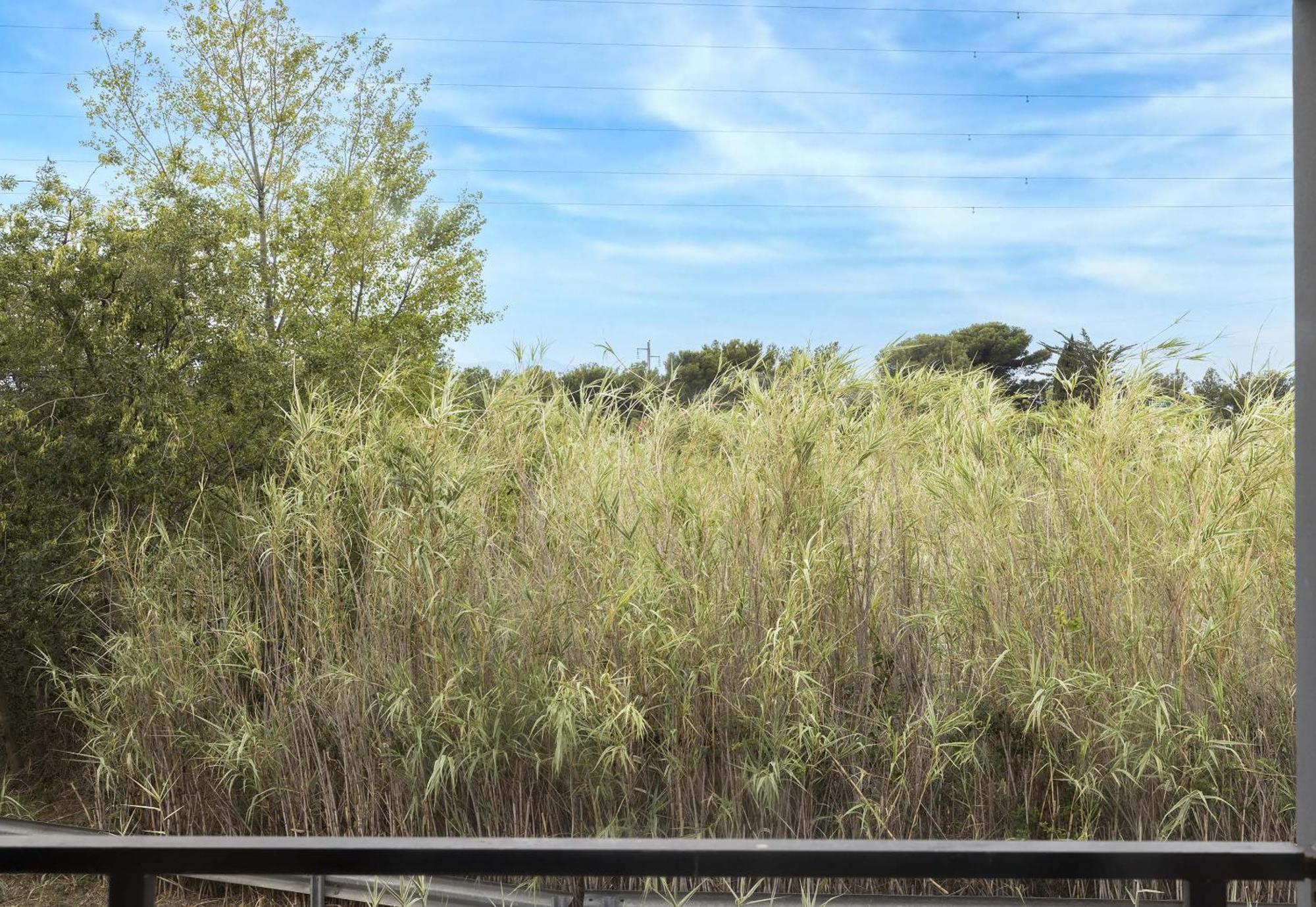 Sud Porte D'espagne Perpiñán